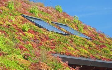 Penmayne living roof systems